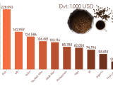 Xuất khẩu coffee đứng thứ mấy thế giới?
