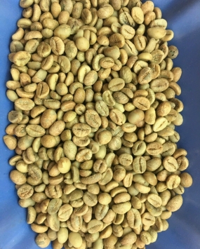 ROBUSTA HONEY  CHƯA RANG