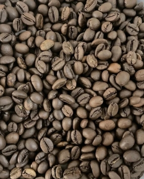 Hạt ROBUSTA 