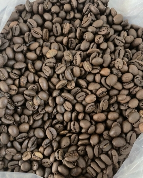 Hạt ROBUSTA  HONEY